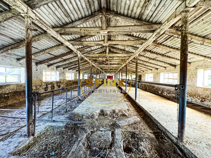 Chiselet, Calarasi, teren intravilan 62000 mp, ferma, logistica, depozitare.