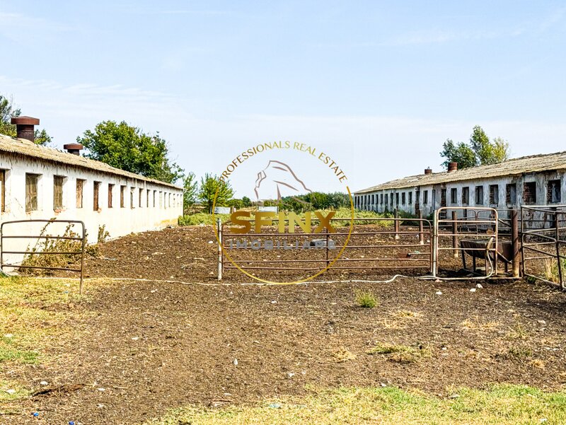 Chiselet, Calarasi, teren intravilan 62000 mp, ferma, logistica, depozitare.