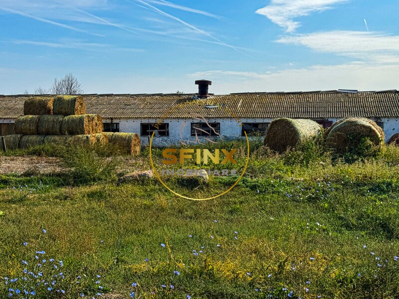 Chiselet, Calarasi, teren intravilan 62000 mp, ferma, logistica, depozitare.