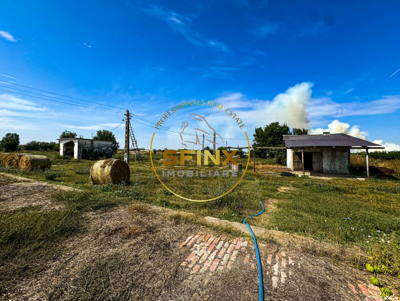 Chiselet, Calarasi, teren intravilan 62000 mp, ferma, logistica, depozitare.